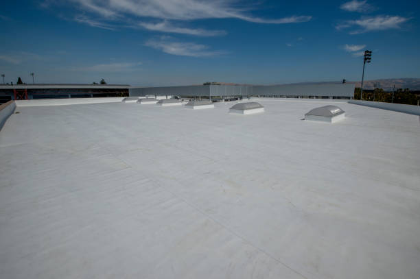 Best Roof Replacement  in Kelseyville, CA