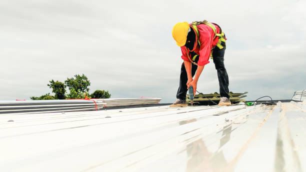 Best Chimney Flashing Repair  in Kelseyville, CA