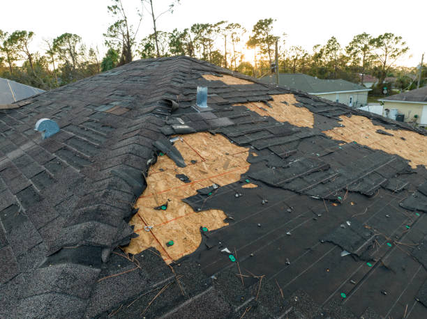 Professional Roofing Services in Kelseyville, CA